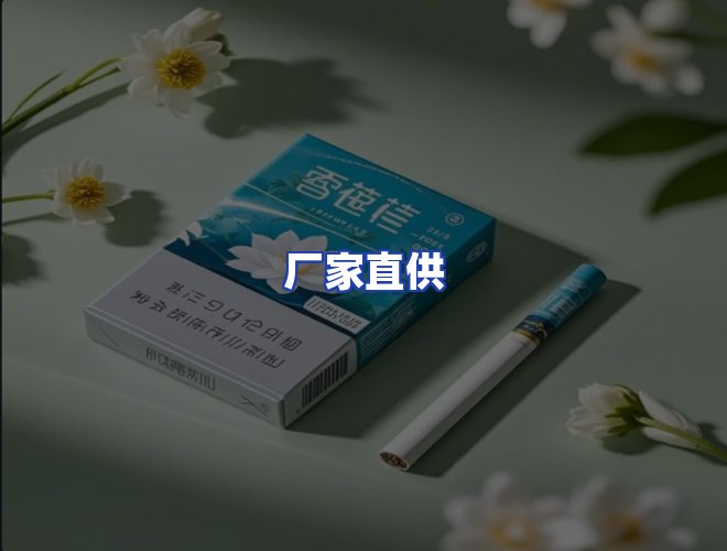 专业团队